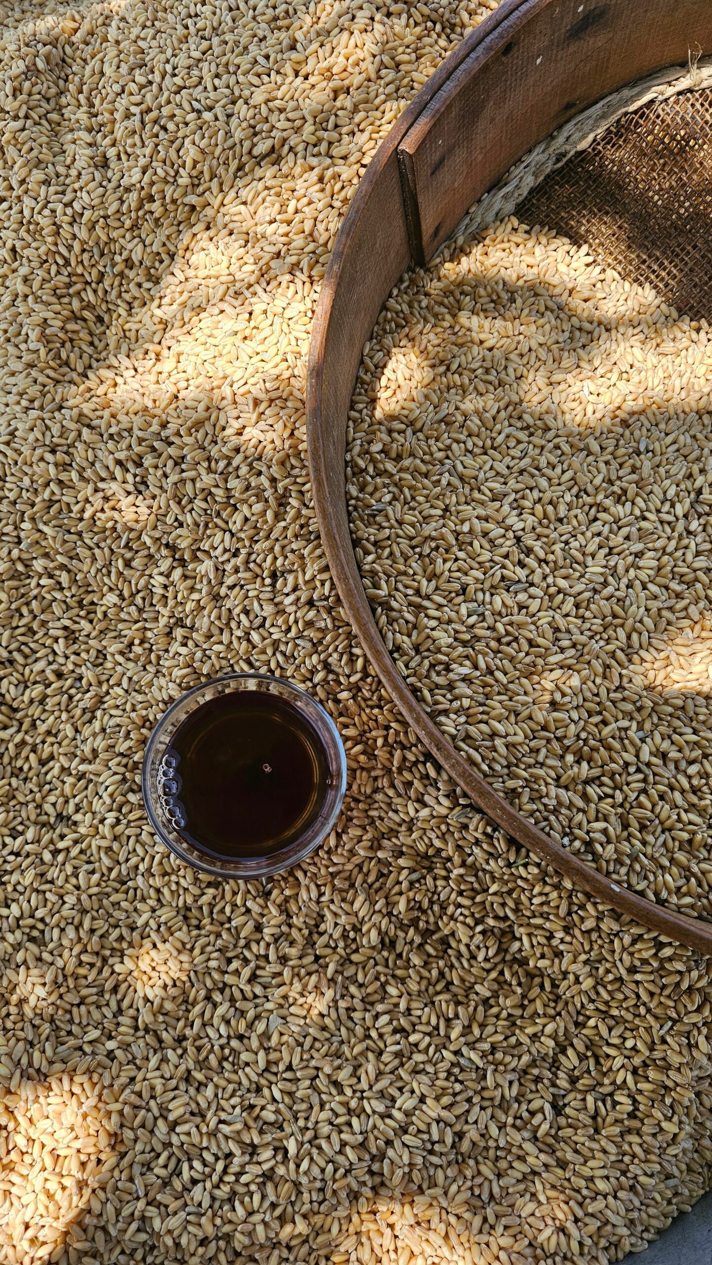Sunlit grains drying with a rustic sieve and a cup of tea outdoors.